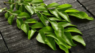 garnishing-instructions-image